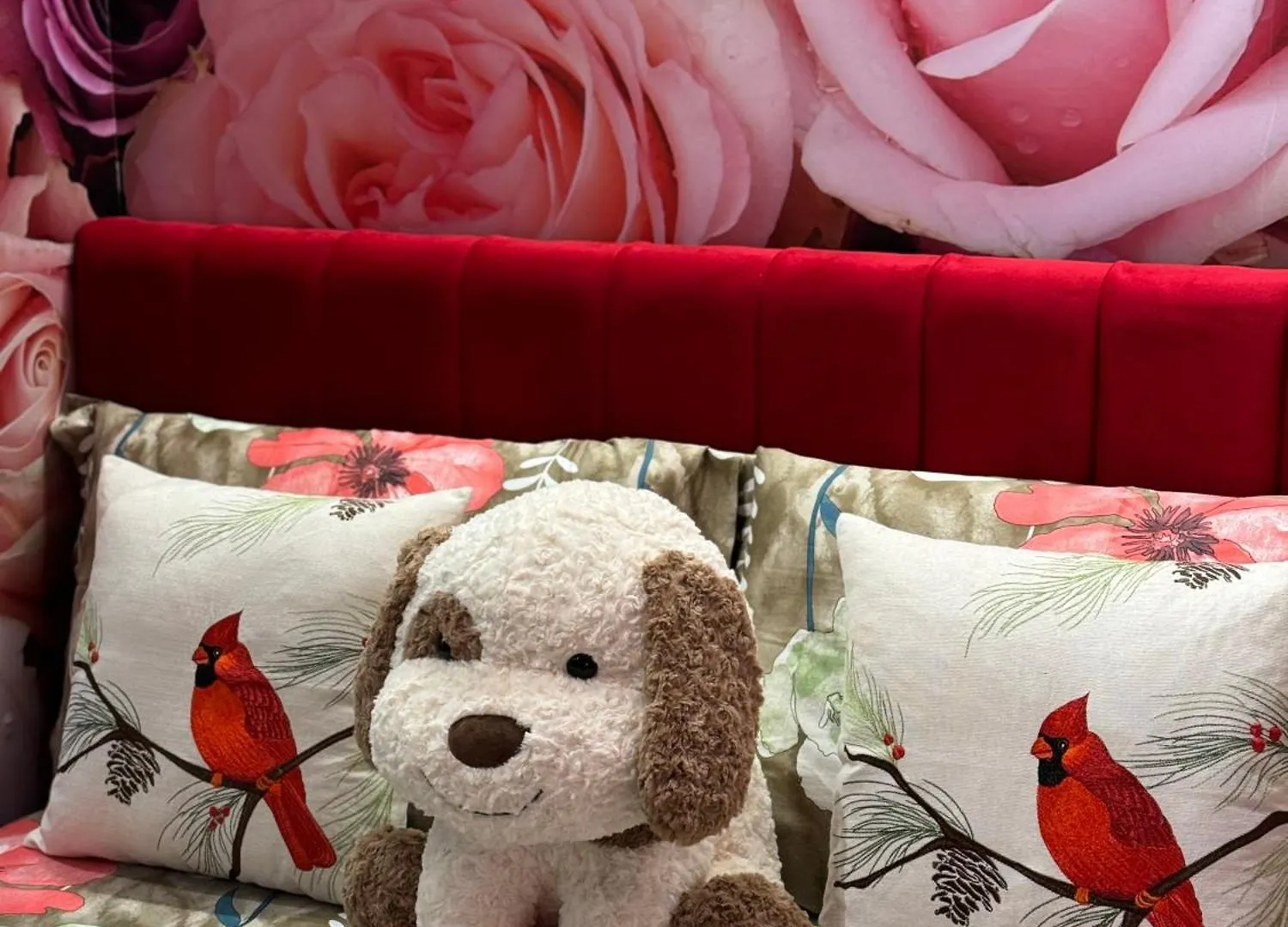 Apartment Ohana Tirana